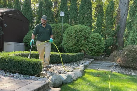 tech fertilizing trees