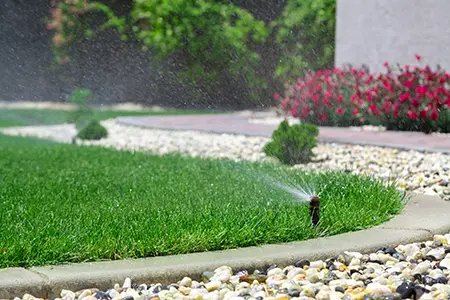 watering lawn