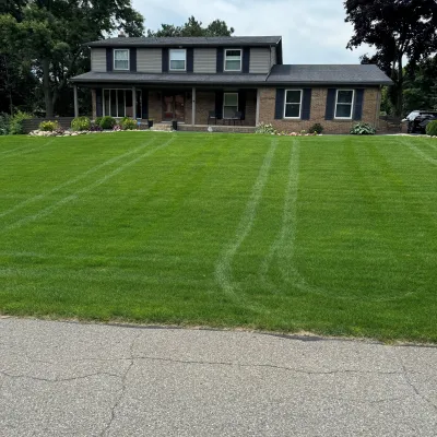 house and front yard