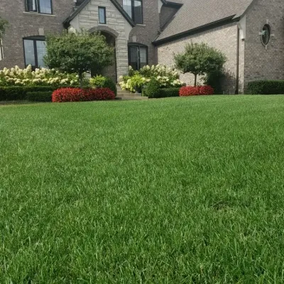 house with nice green lawn