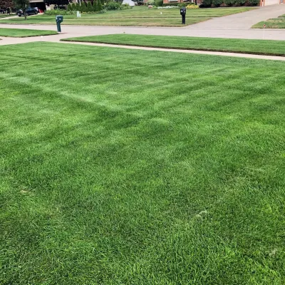 lawn