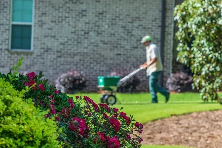 fertilizing yard