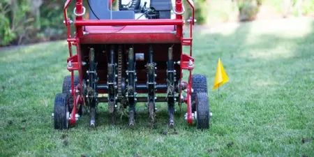 lawn aeration 