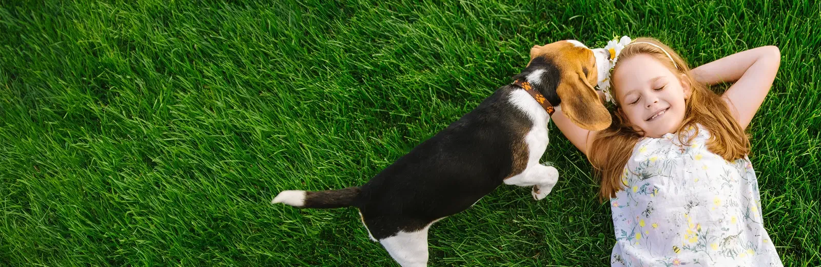 girl laying in grass playing with dog