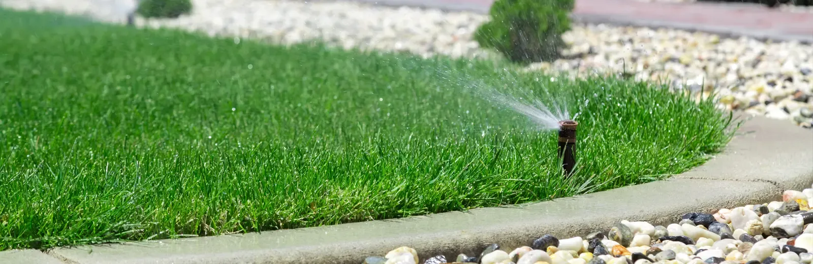 sprinkler watering lawn